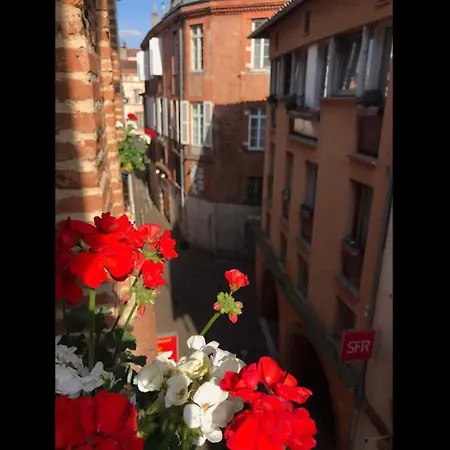 Le5, Charme Authentique Et Convivialite, Au Coeur 롯지 툴루즈